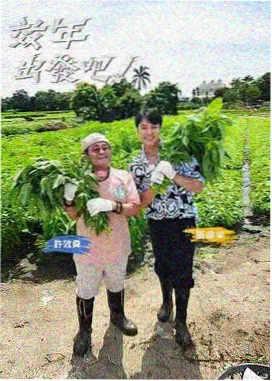 喜剧综艺海报